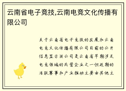 云南省电子竞技,云南电竞文化传播有限公司