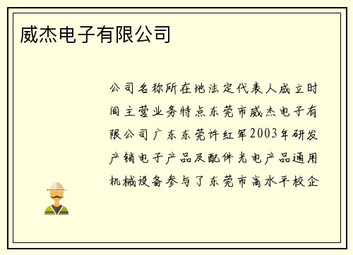 威杰电子有限公司